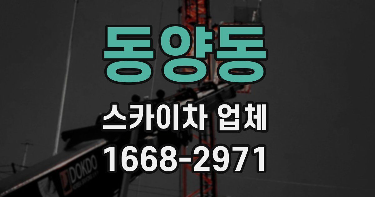 동양동 스카이차 업체