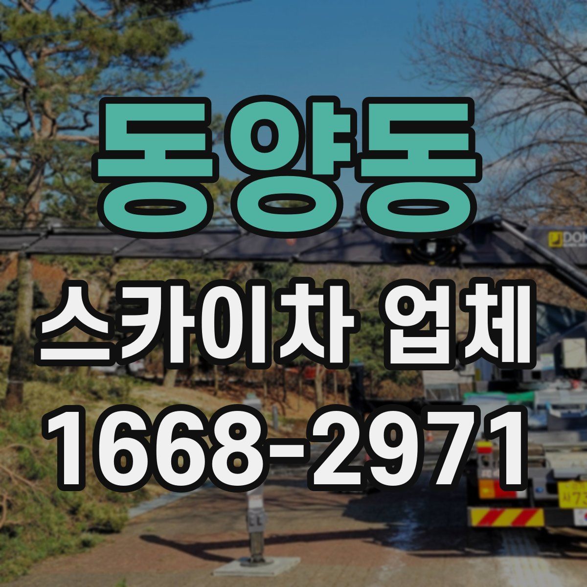 동양동 스카이차 업체
