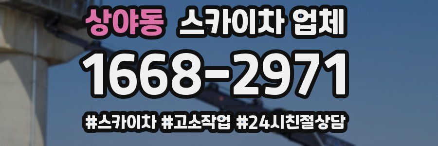 상야동 스카이차 업체