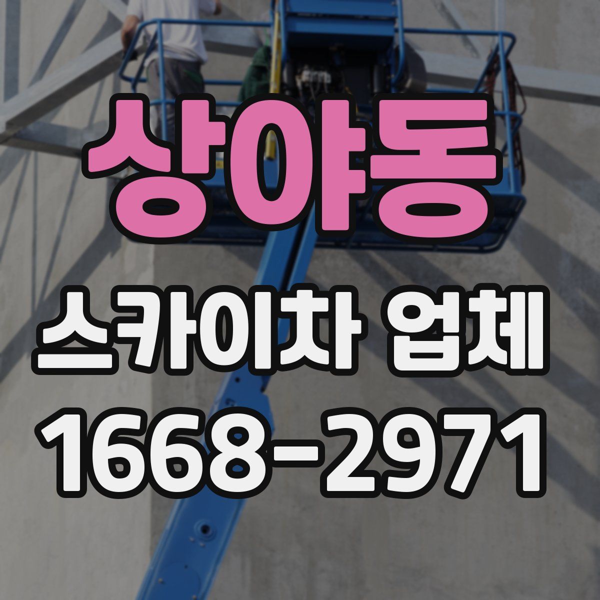 상야동 스카이차 업체