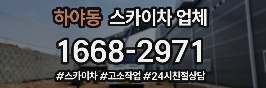 하야동 스카이차 업체