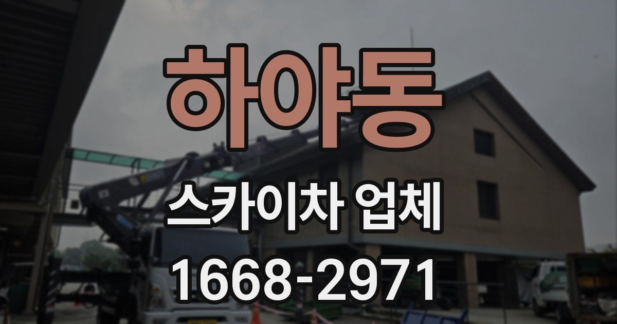 하야동 스카이차 업체