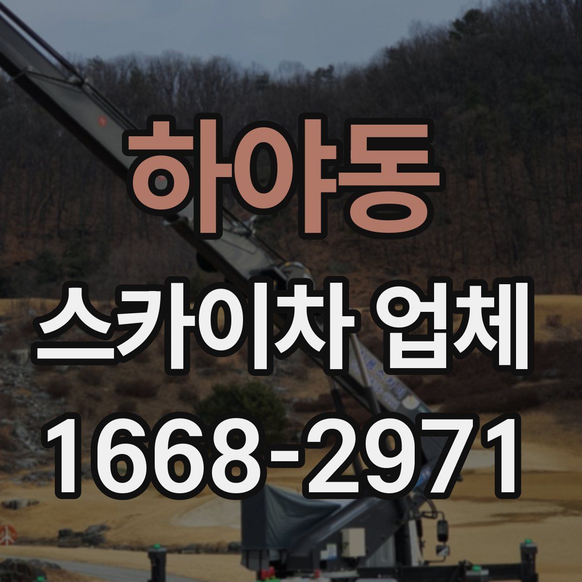 하야동 스카이차 업체