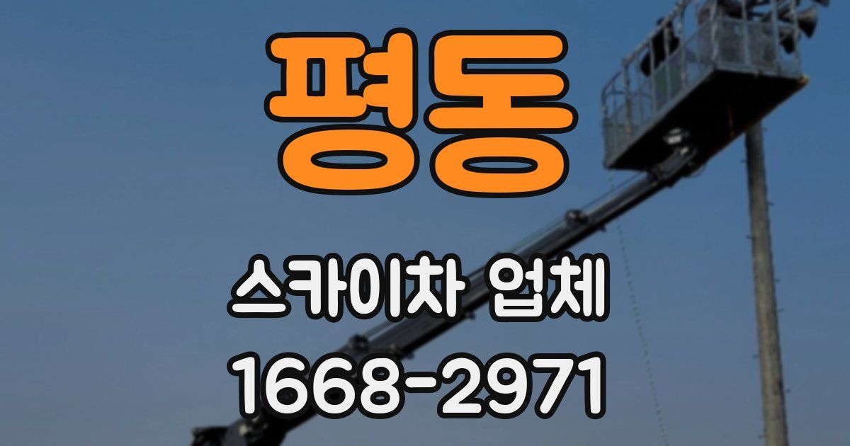 평동 스카이차 업체