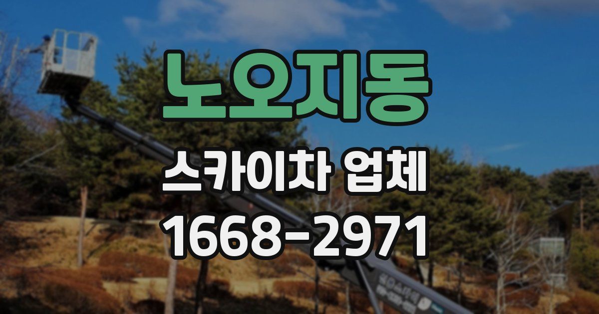 노오지동 스카이차 업체