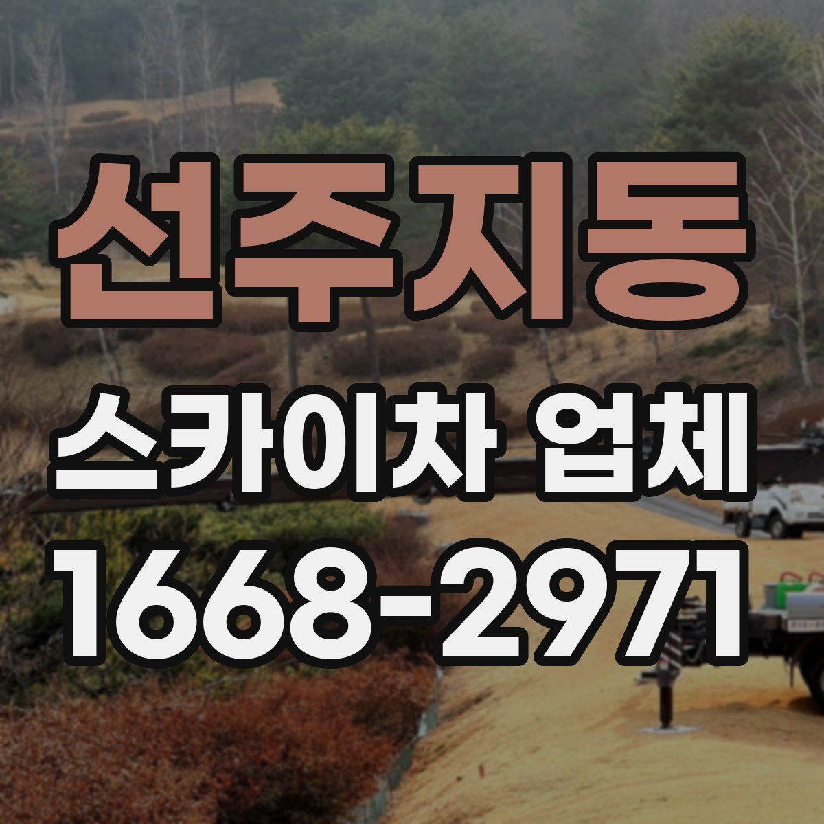 선주지동 스카이차 업체
