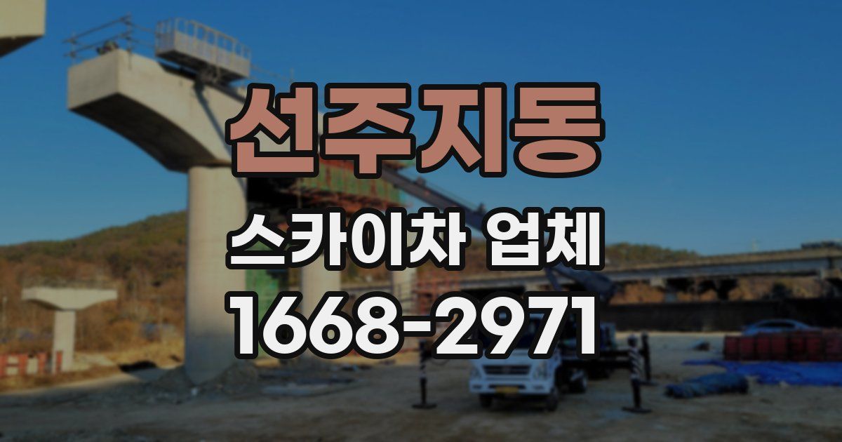 선주지동 스카이차 업체