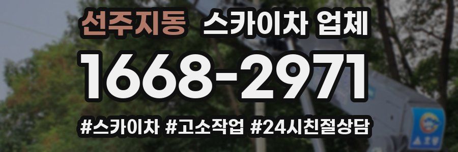 선주지동 스카이차 업체