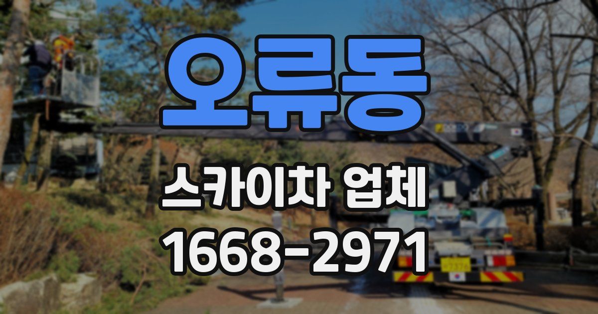 오류동 스카이차 업체