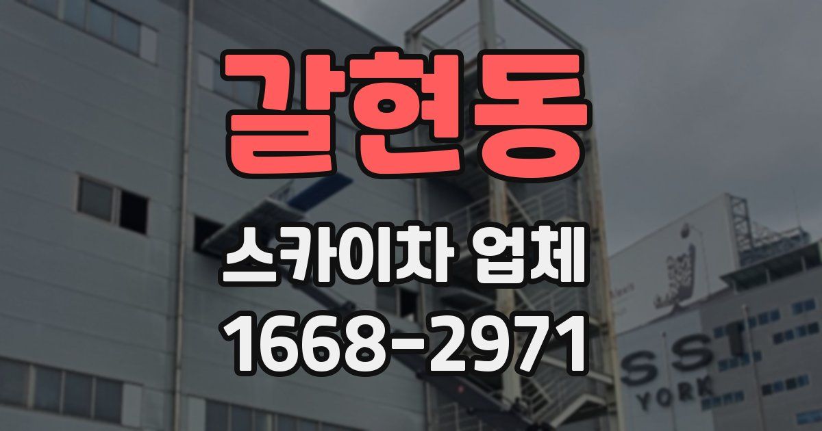 갈현동 스카이차 업체