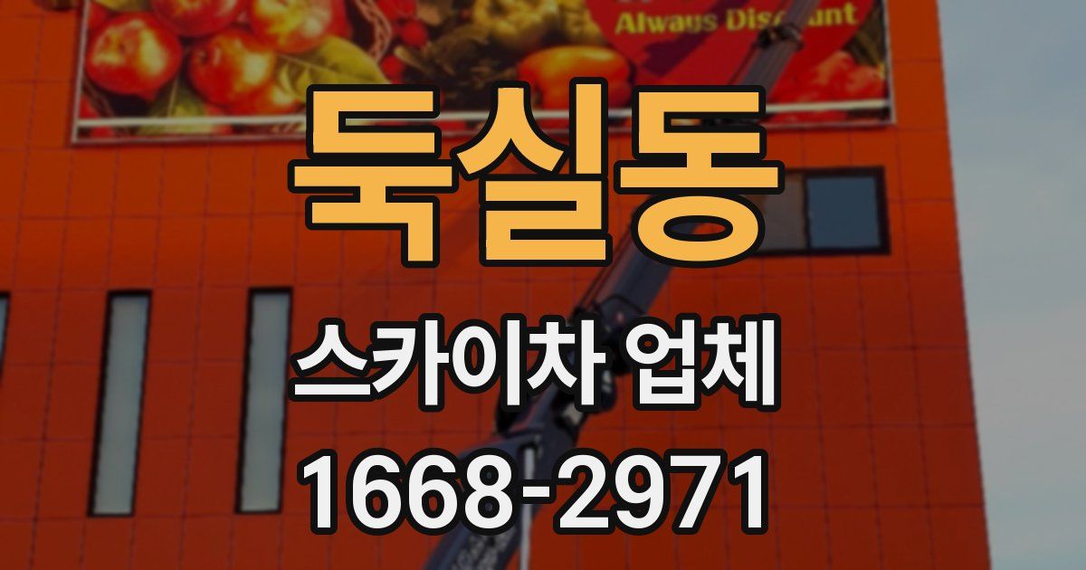 둑실동 스카이차 업체