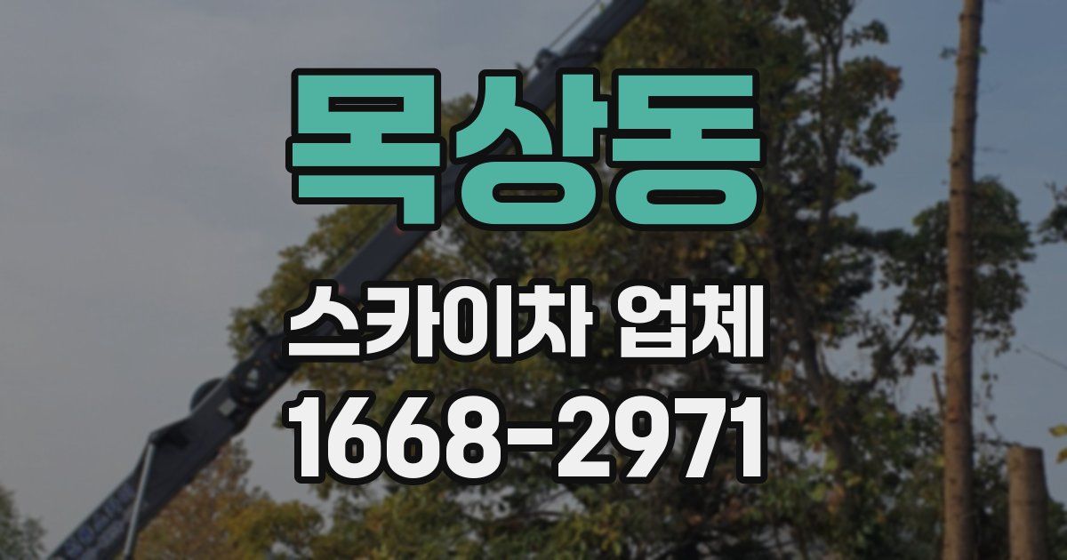 목상동 스카이차 업체