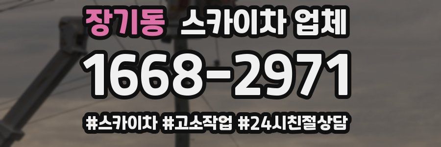 장기동 스카이차 업체