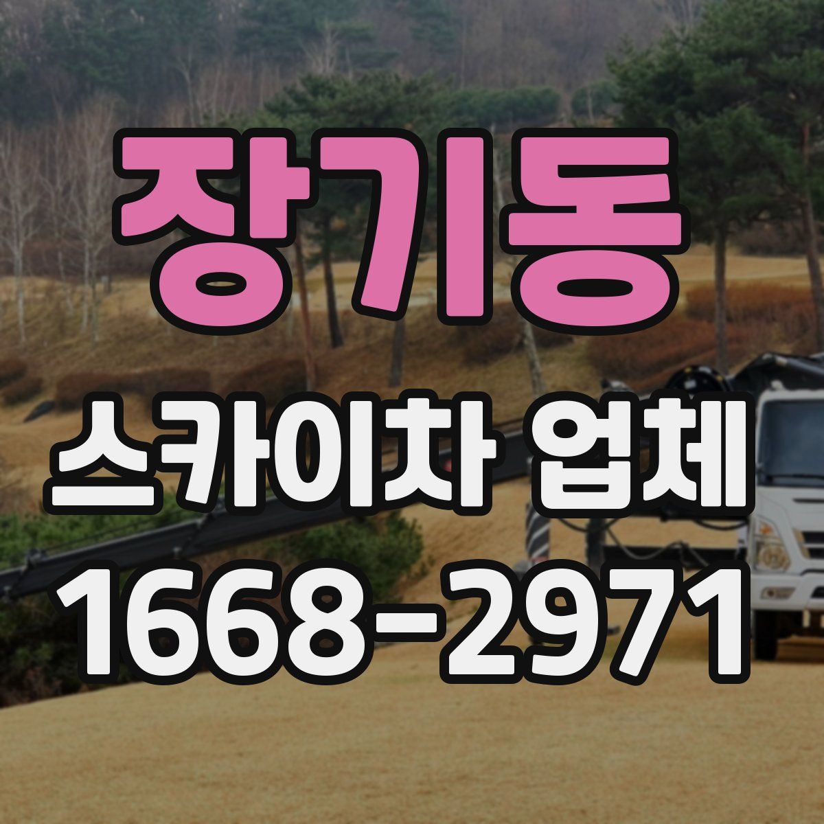 장기동 스카이차 업체