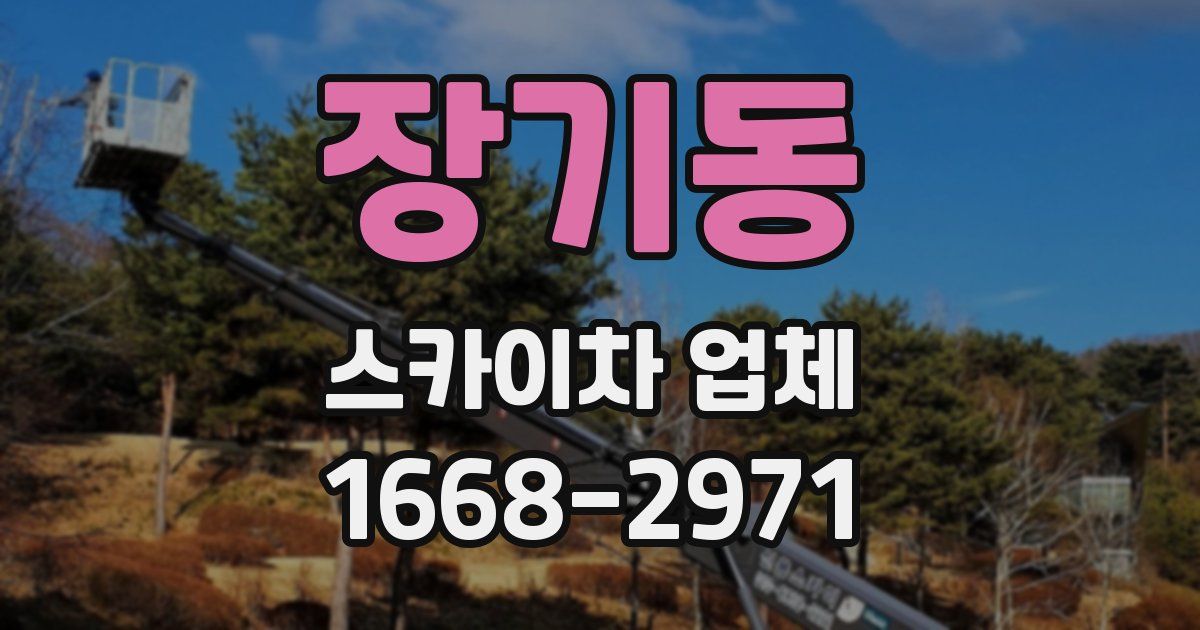 장기동 스카이차 업체