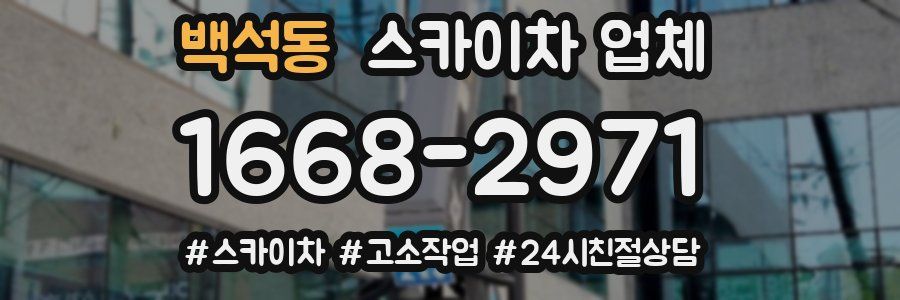 백석동 스카이차 업체