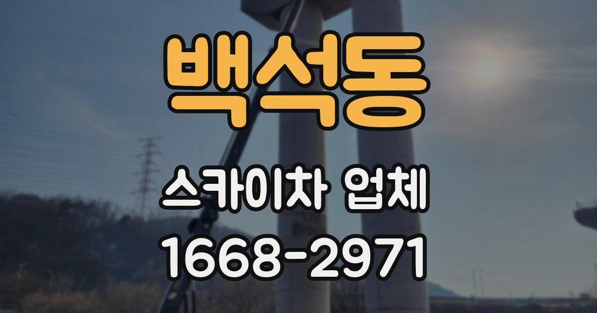 백석동 스카이차 업체