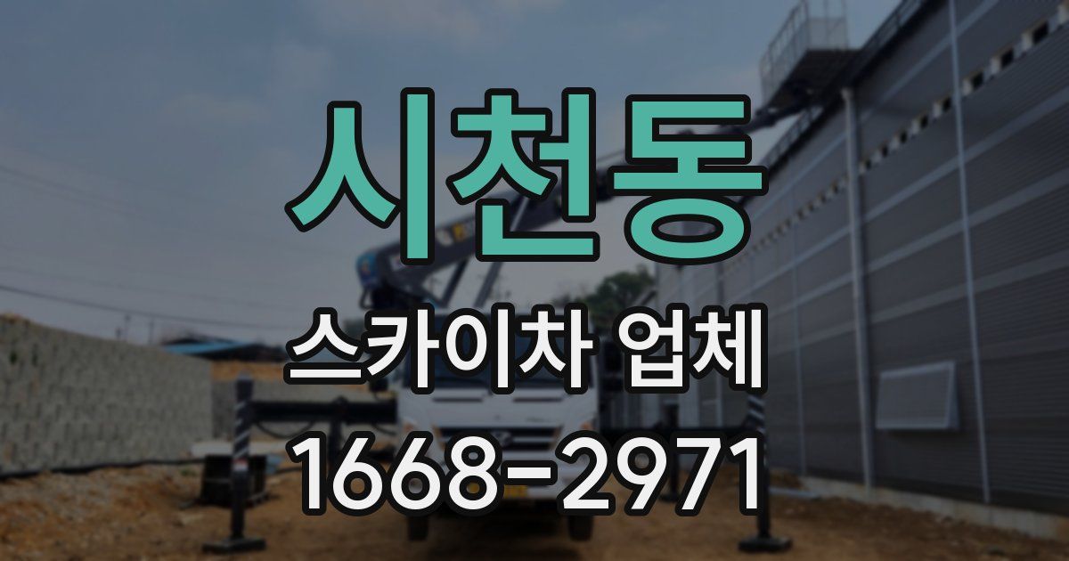 시천동 스카이차 업체