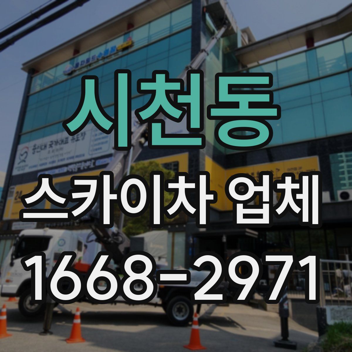 시천동 스카이차 업체