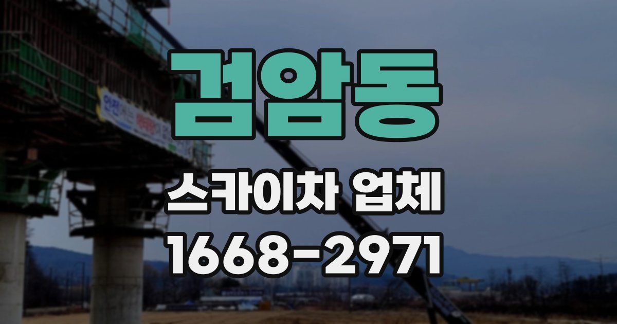 검암동 스카이차 업체