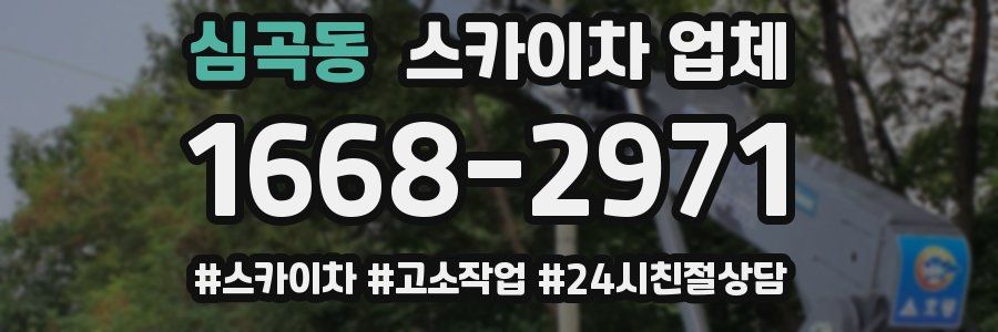 심곡동 스카이차 업체