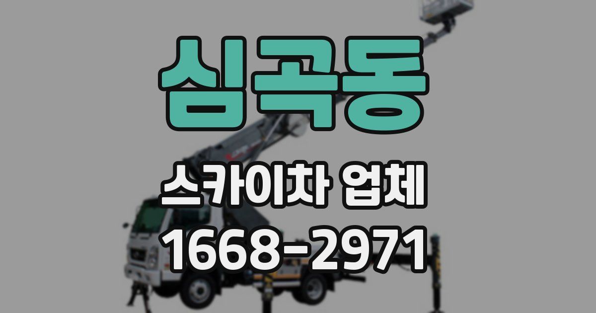 심곡동 스카이차 업체