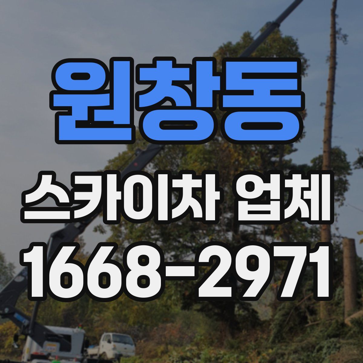 원창동 스카이차 업체