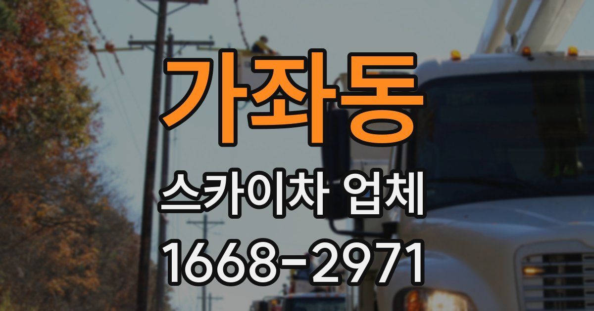 가좌동 스카이차 업체