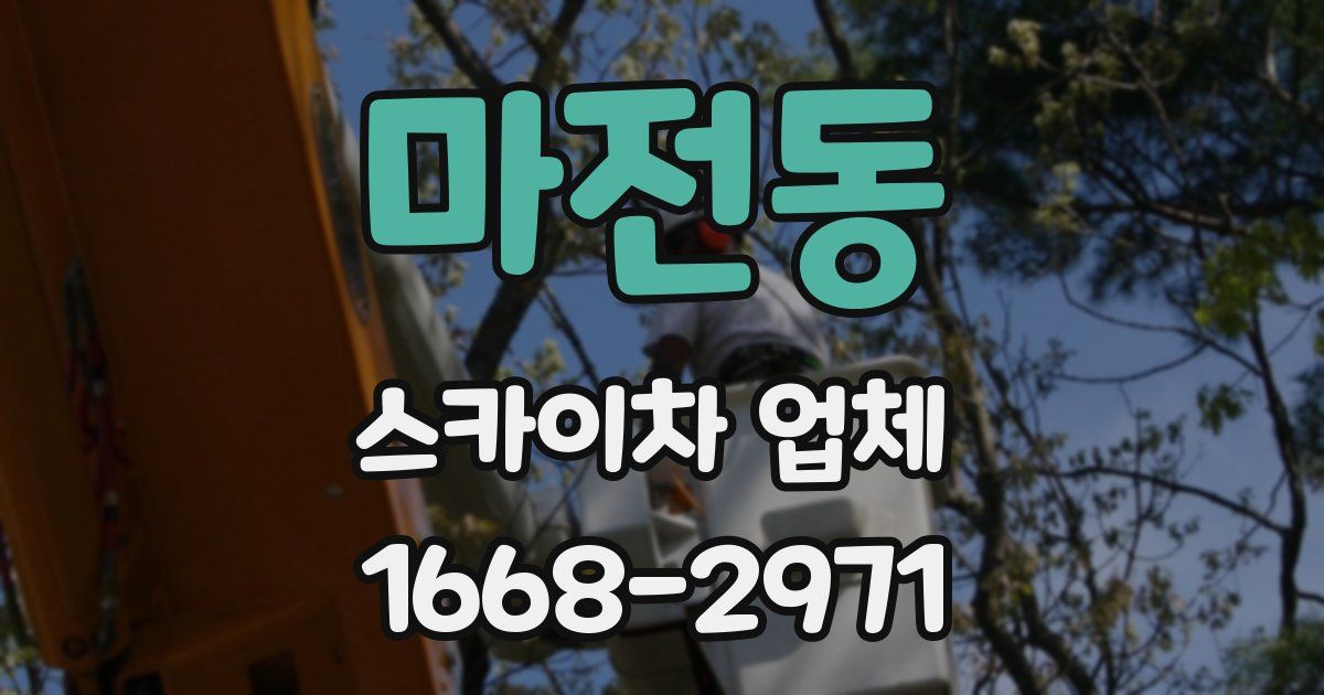 마전동 스카이차 업체