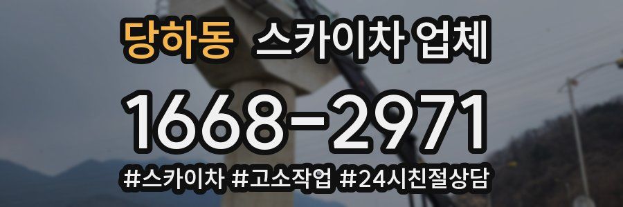 당하동 스카이차 업체