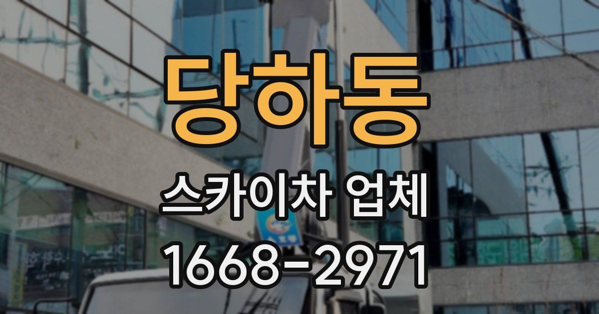 당하동 스카이차 업체