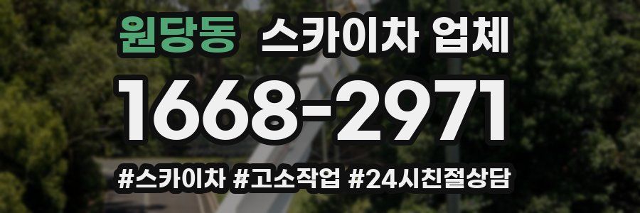 원당동 스카이차 업체