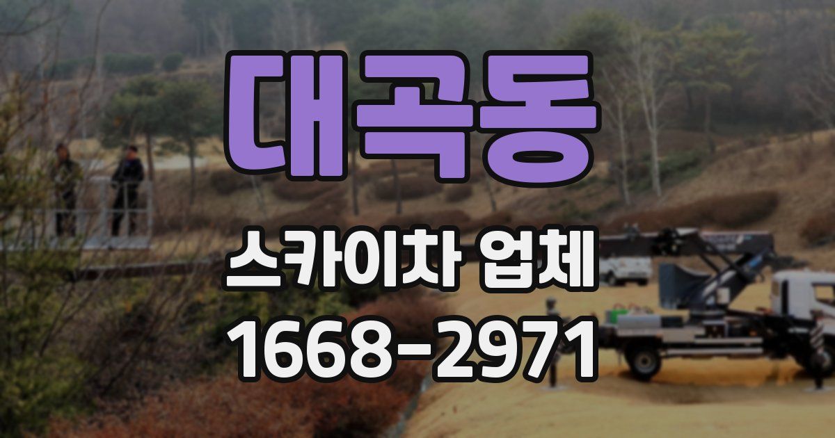 대곡동 스카이차 업체