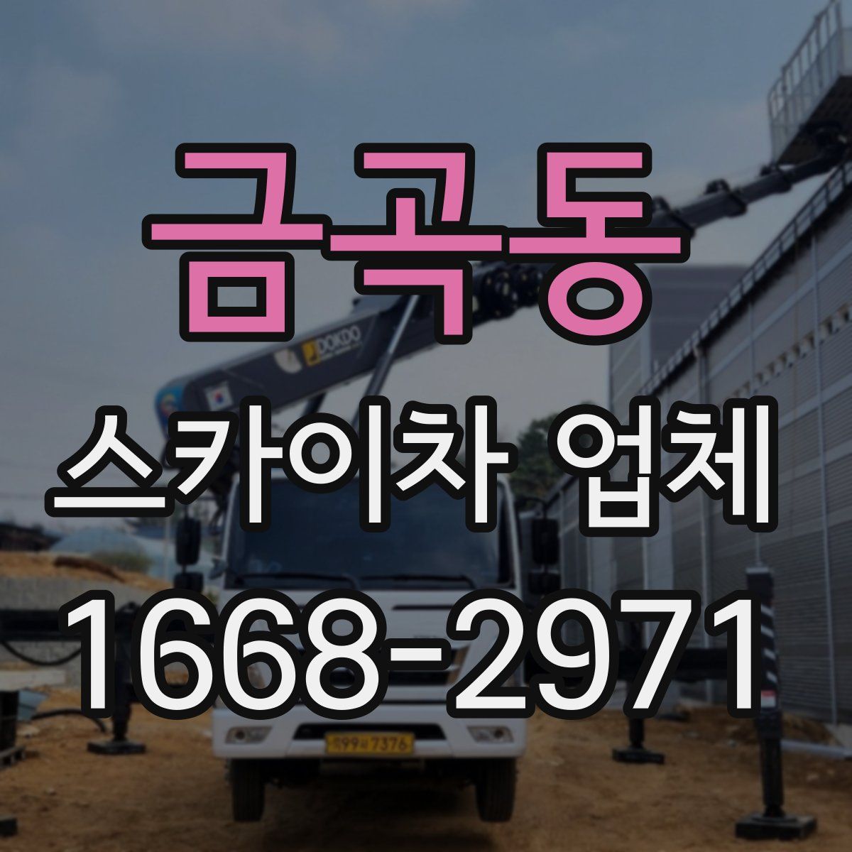 금곡동 스카이차 업체