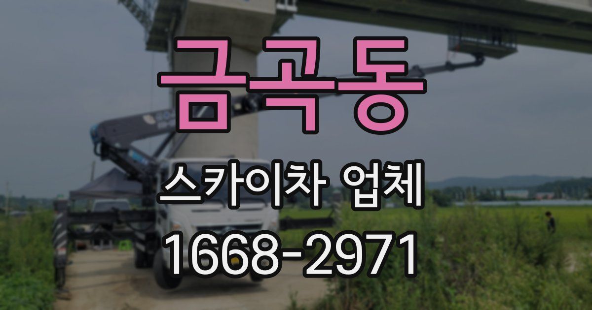 금곡동 스카이차 업체
