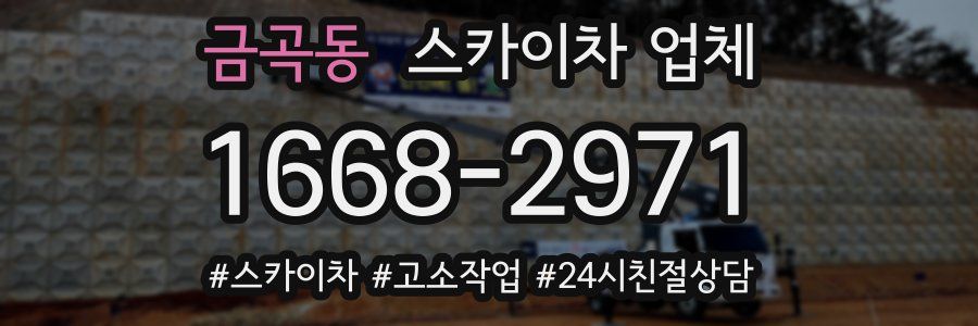 금곡동 스카이차 업체