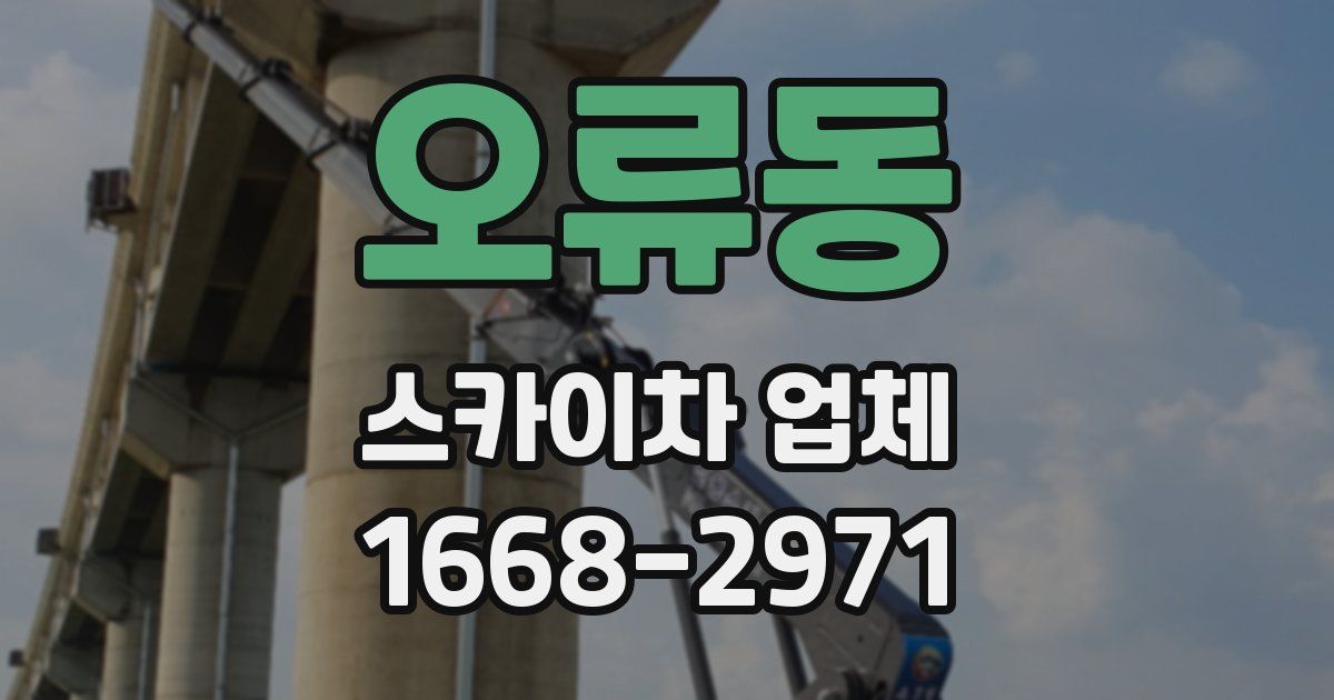 오류동 스카이차 업체
