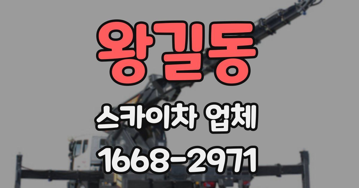 왕길동 스카이차 업체