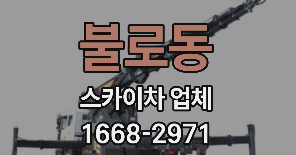 불로동 스카이차 업체