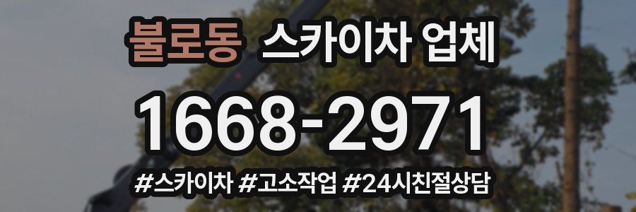 불로동 스카이차 업체