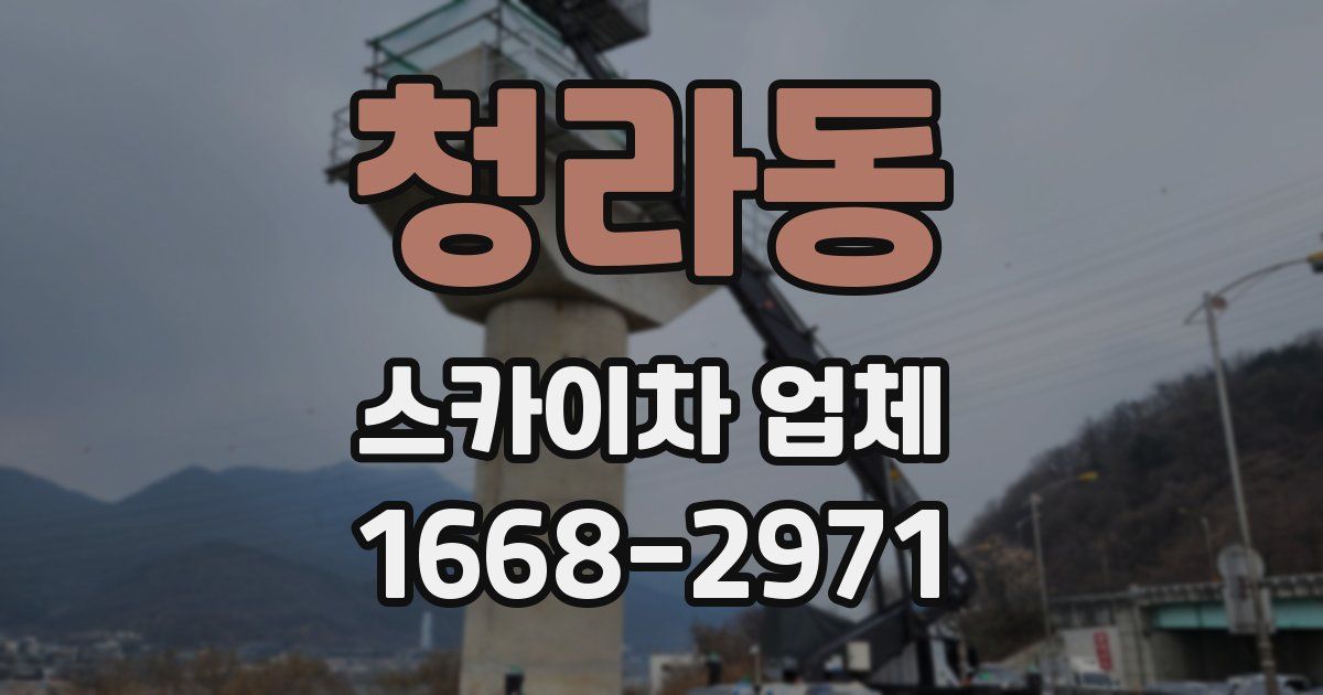 청라동 스카이차 업체