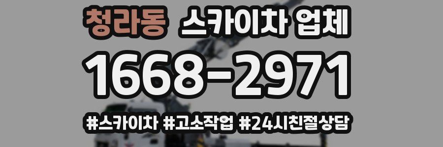 청라동 스카이차 업체