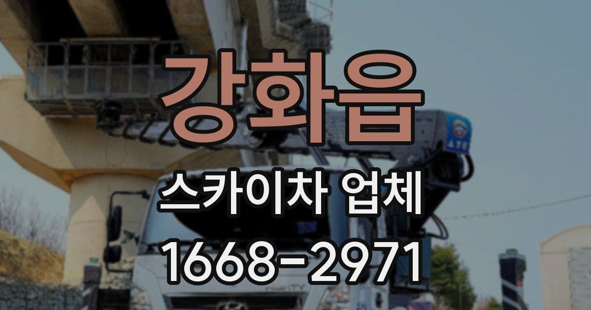 강화읍 스카이차 업체