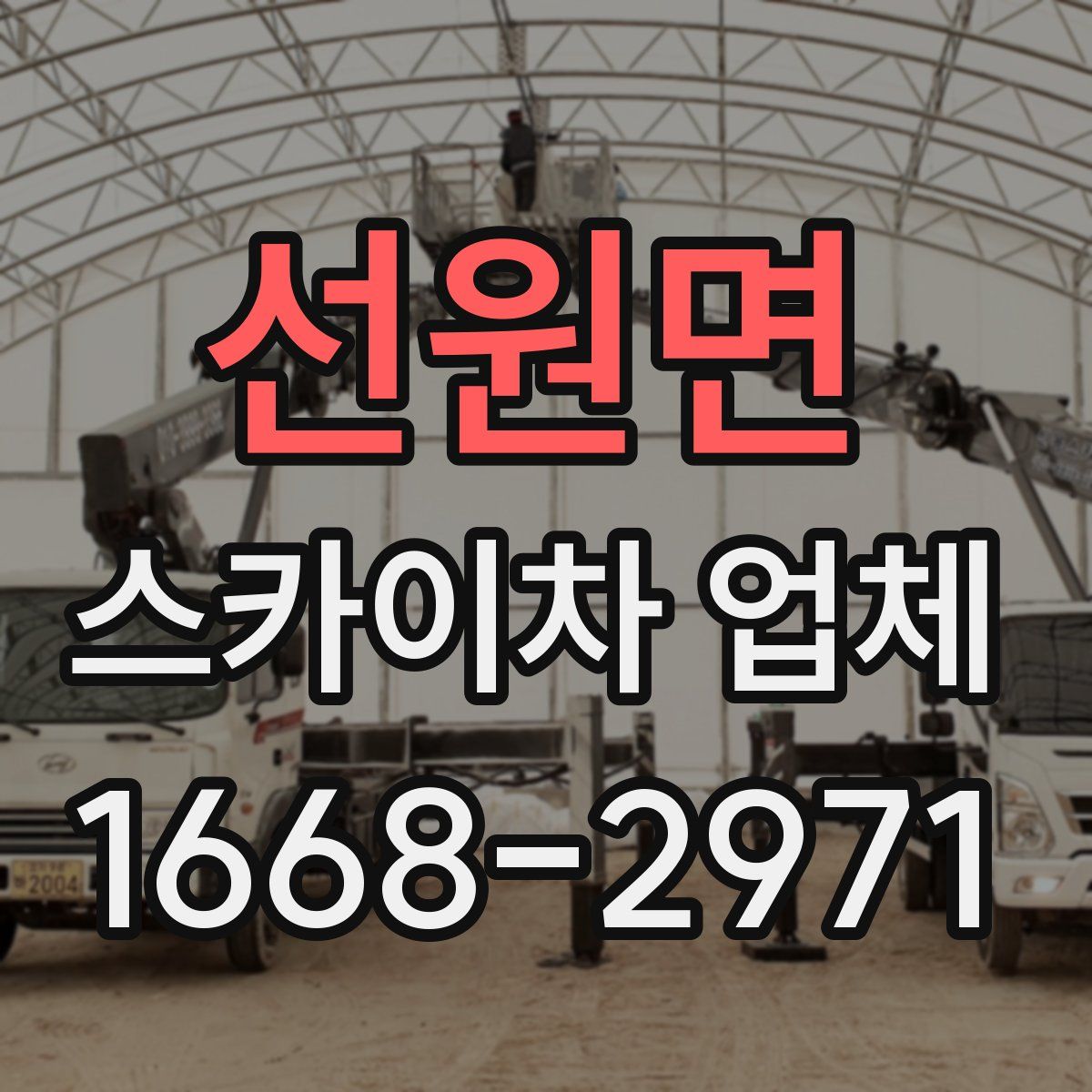 선원면 스카이차 업체