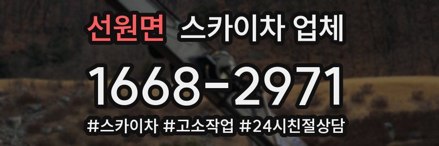 선원면 스카이차 업체