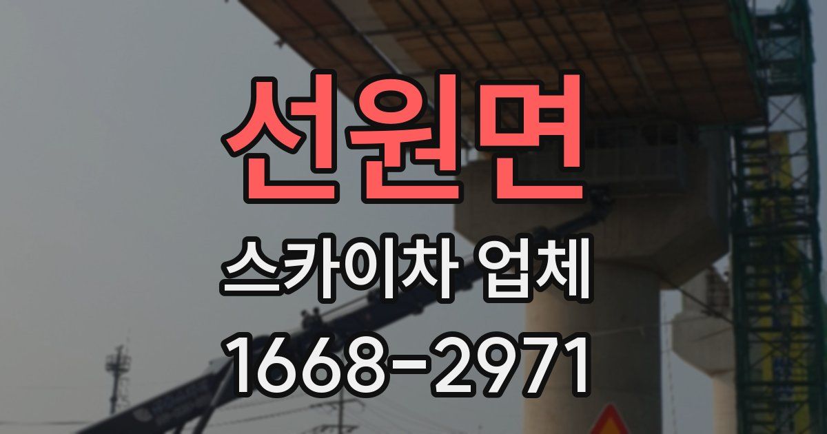 선원면 스카이차 업체
