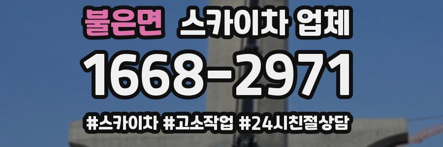 불은면 스카이차 업체