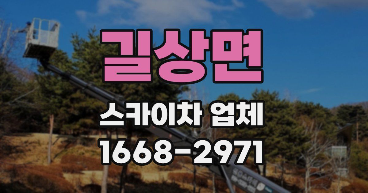 길상면 스카이차 업체