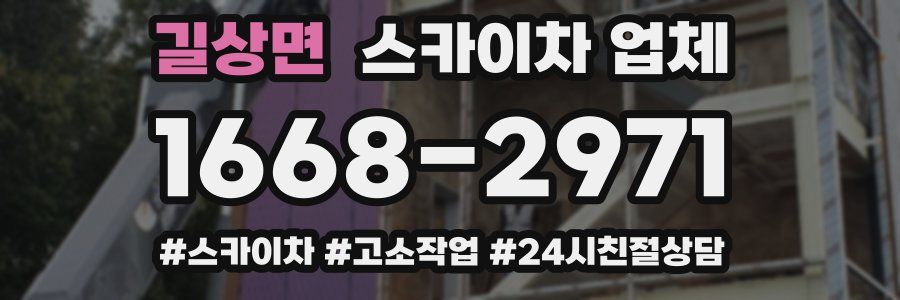 길상면 스카이차 업체