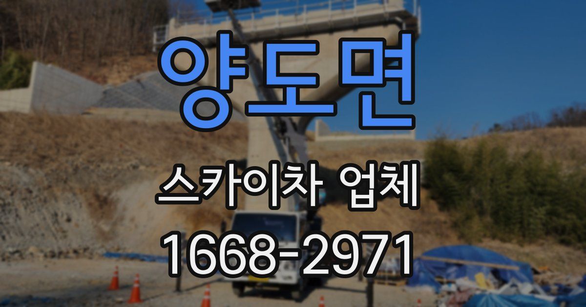 양도면 스카이차 업체
